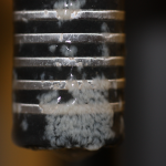 Biofilm growth on a BioSense sensor