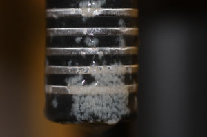 Biofilm on sensor