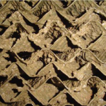 Biofilm in a cooling tower