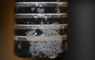 Biofilm on BioSense sensor
